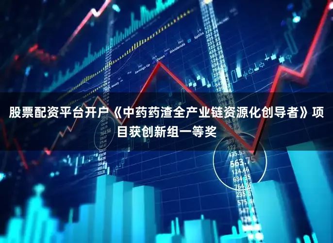 股票配资平台开户《中药药渣全产业链资源化创导者》项目获创新组一等奖