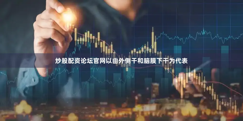 炒股配资论坛官网以由外侧干和脑膜下干为代表