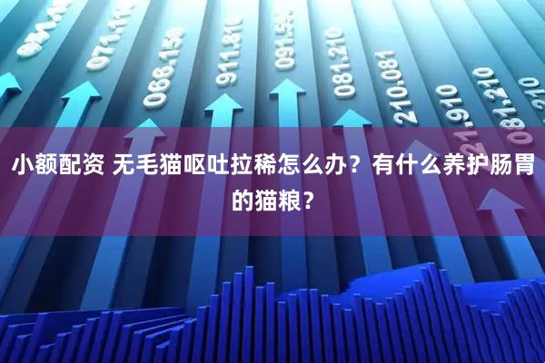 小额配资 无毛猫呕吐拉稀怎么办？有什么养护肠胃的猫粮？