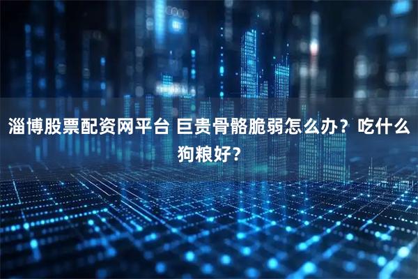 淄博股票配资网平台 巨贵骨骼脆弱怎么办？吃什么狗粮好？
