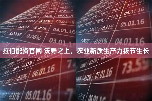 拉伯配资官网 沃野之上,农业新质生产力拔节生长